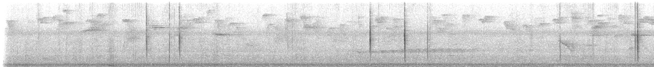 Ariane à ventre gris (groupe tzacatl) - ML83881971