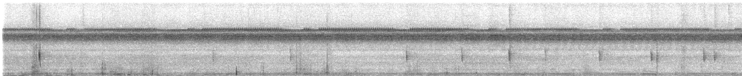 Колібрі-шаблекрил юкатанський (підвид pampa) - ML83886461