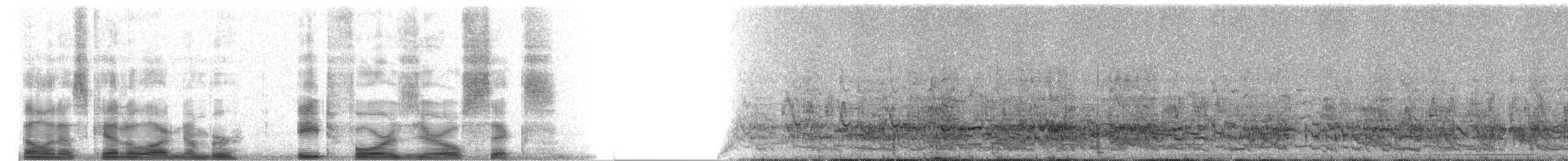 White-fronted Amazon - ML8406