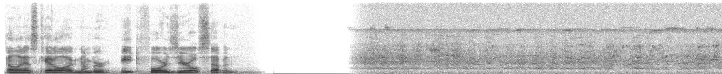 White-fronted Amazon - ML8407