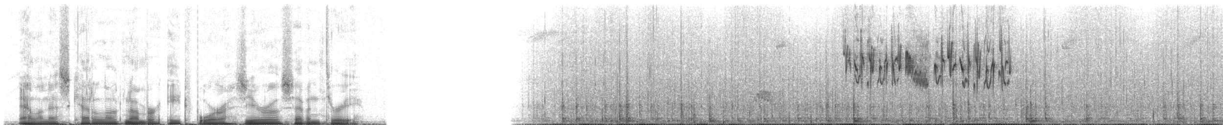 Schwarzhakenschnabel - ML84073