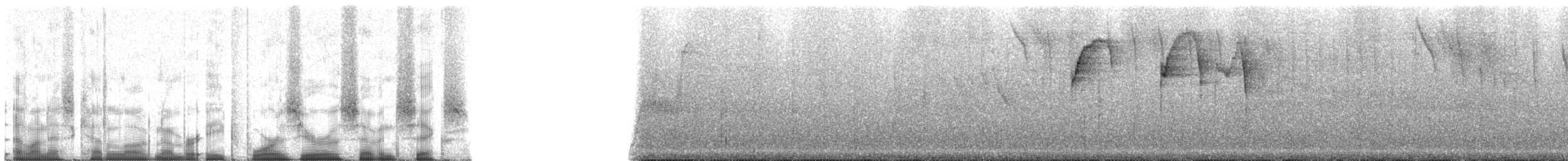 Tawny-rumped Tyrannulet - ML84076