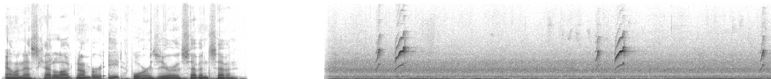 Azara's Spinetail - ML84077