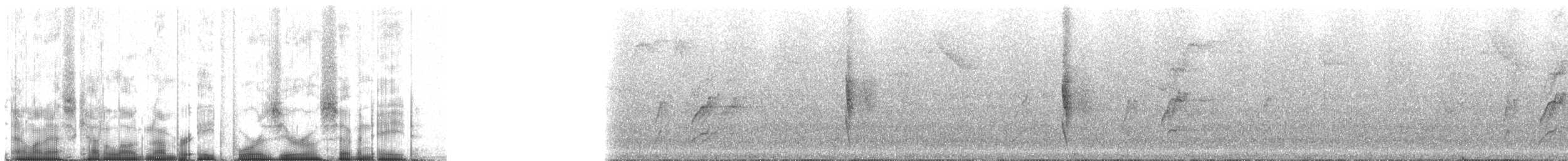 Ash-colored Tapaculo - ML84078