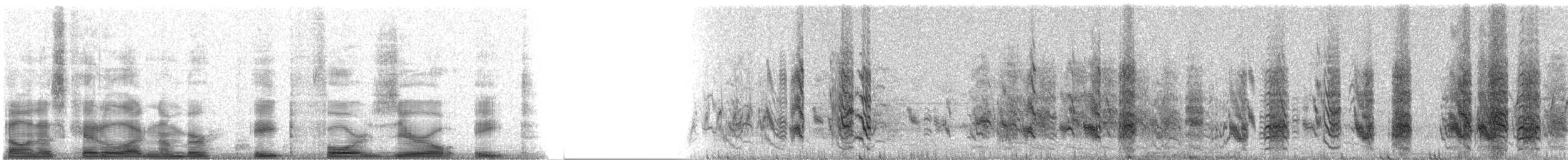 White-fronted Amazon - ML8408