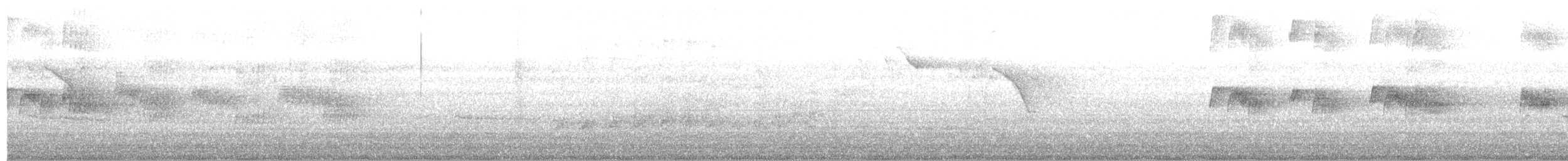 Тиран сірий - ML84082131