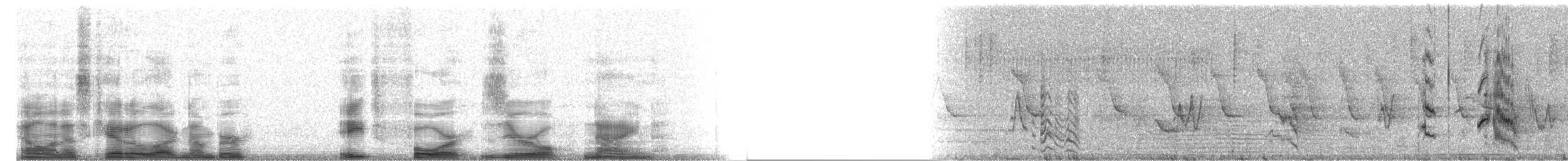 White-fronted Amazon - ML8409