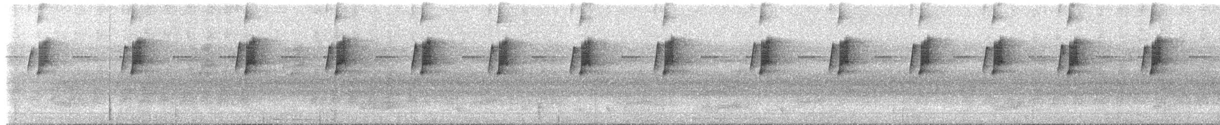 Большеклювый колибри-отшельник [группа moorei] - ML84099511