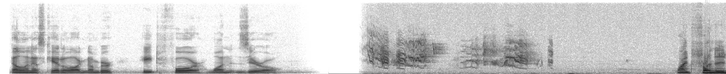 White-fronted Amazon - ML8410