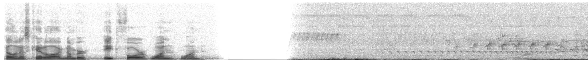 White-fronted Amazon - ML8411