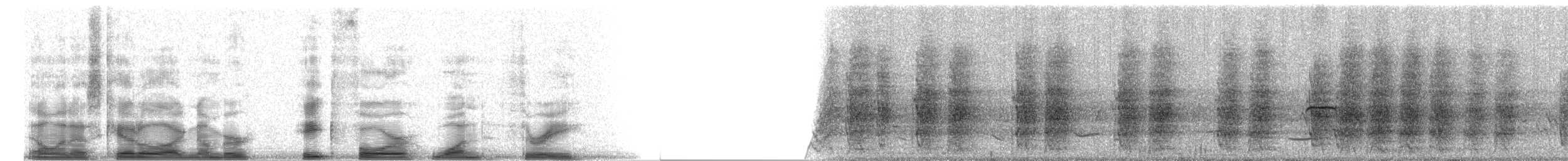 White-fronted Amazon - ML8413