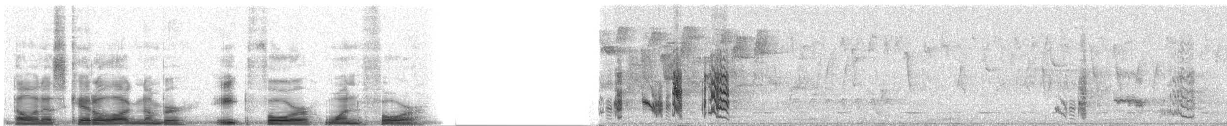 White-fronted Amazon - ML8414