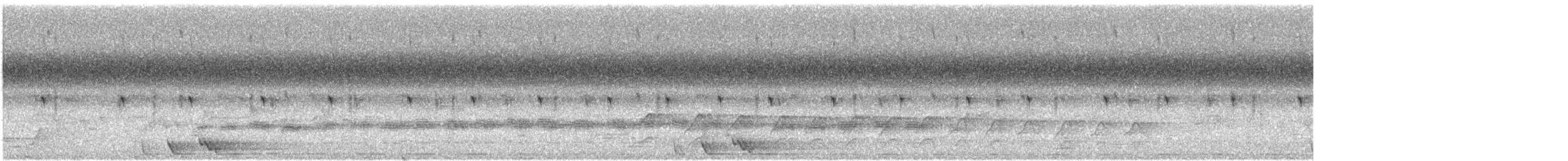 Sahul Cicadabird - ML84164871