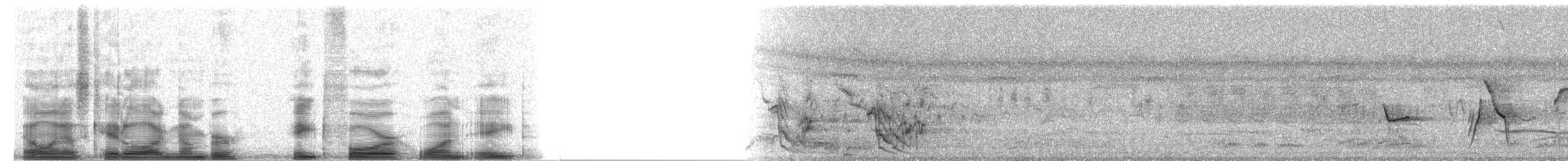 Red-lored Amazon - ML8418