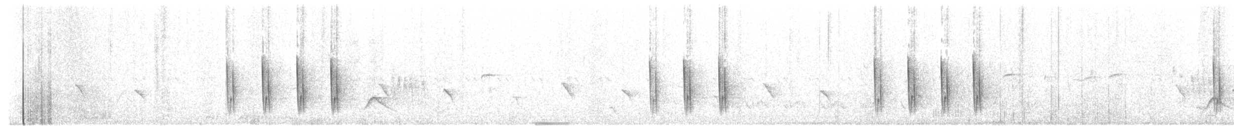 pěnicovec krátkoocasý [skupina brevicaudata] - ML84207841