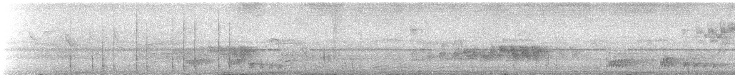Скрытохвост татаупа - ML84212381