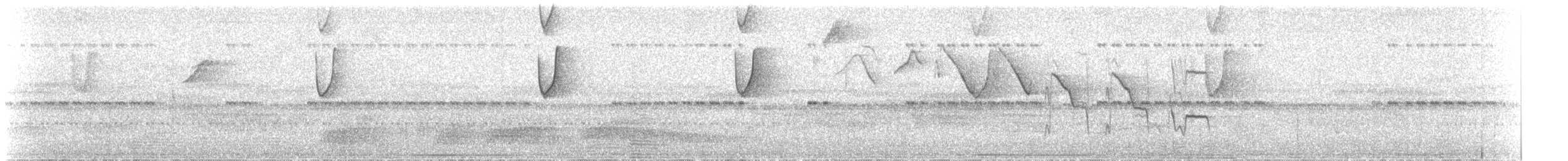 Солнечный колибри-отшельник - ML84212591