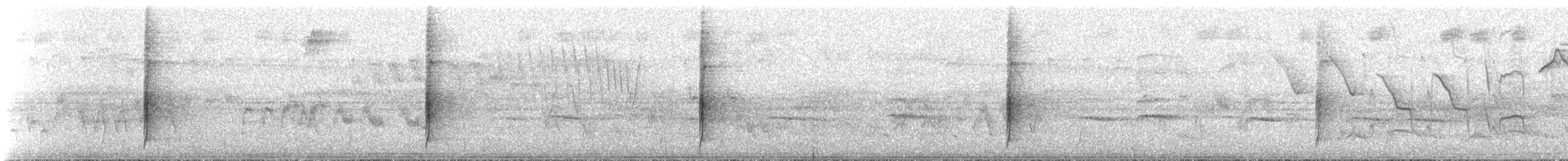 Пёстрый бентеви (solitarius) - ML84212671