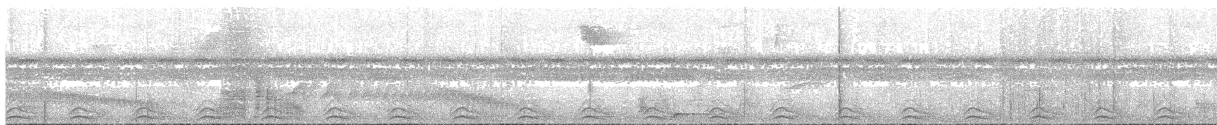 Black-tailed Trogon - ML84214411