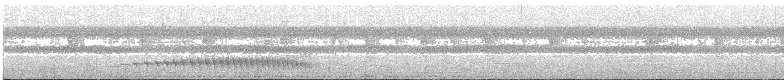Weißkehl-Ameisenschlüpfer - ML84219331