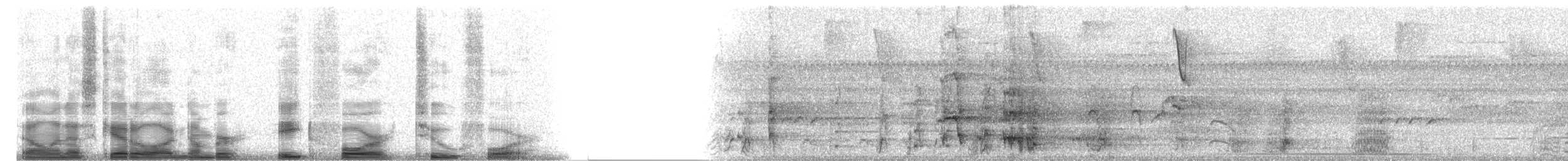 Mealy Amazon (Northern) - ML8424