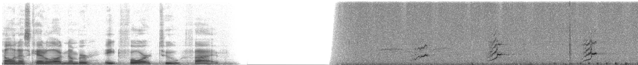 Lilac-crowned Amazon - ML8425