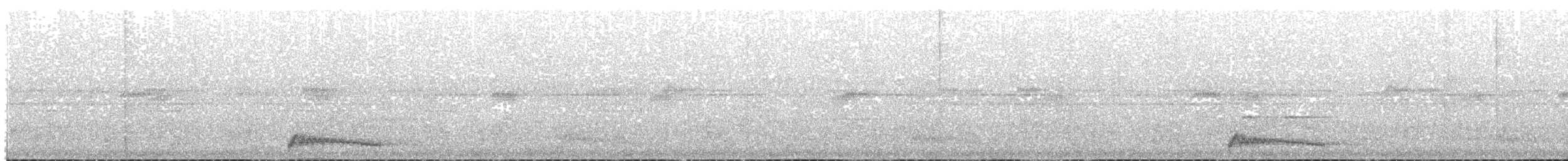 Augennachtschwalbe - ML84252021
