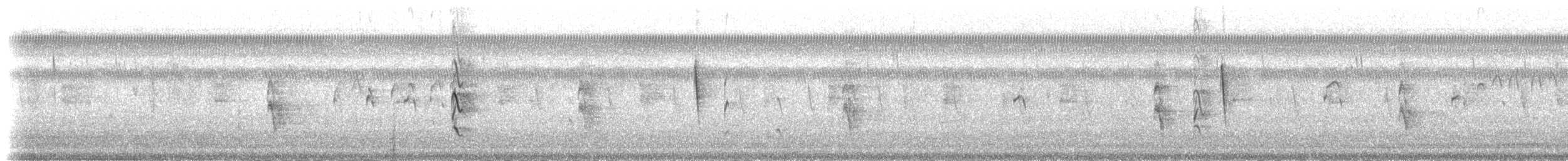 Rotschnabel-Pfeifgans (fulgens) - ML84256271