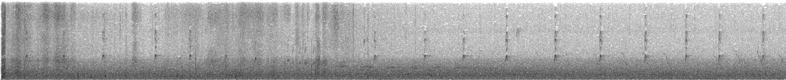 Поплітник каролінський - ML84256401