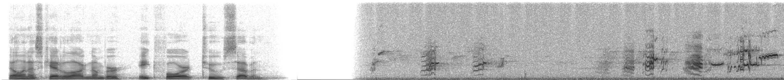 Lilac-crowned Amazon - ML8427