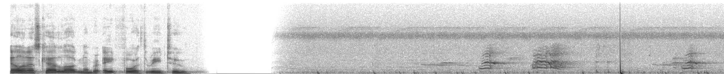 Yellow-naped Amazon - ML8432