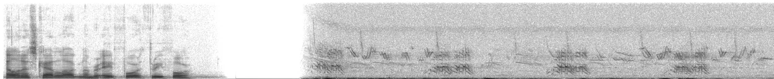 Gelbkopfamazone [oratrix-Gruppe] - ML8434