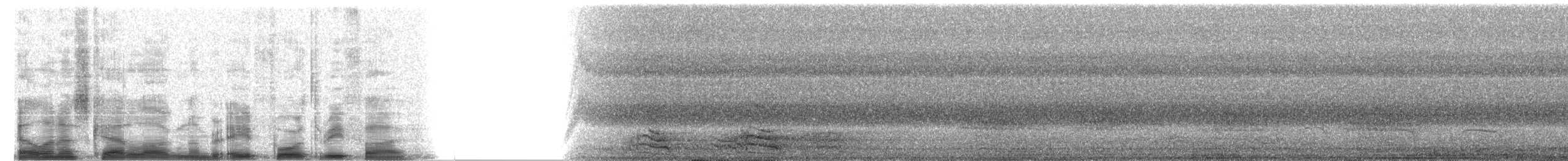 Yellow-headed Amazon (Mainland) - ML8435