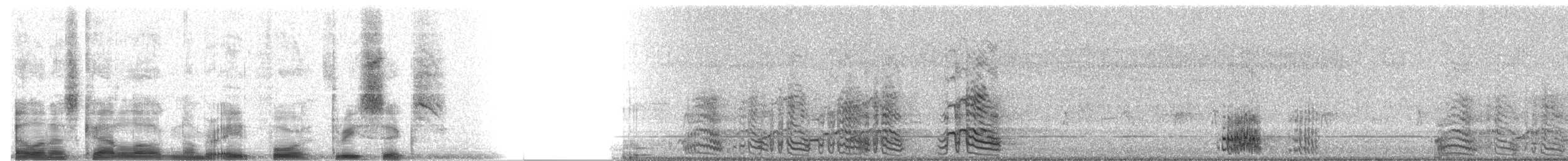 Yellow-naped Amazon - ML8436