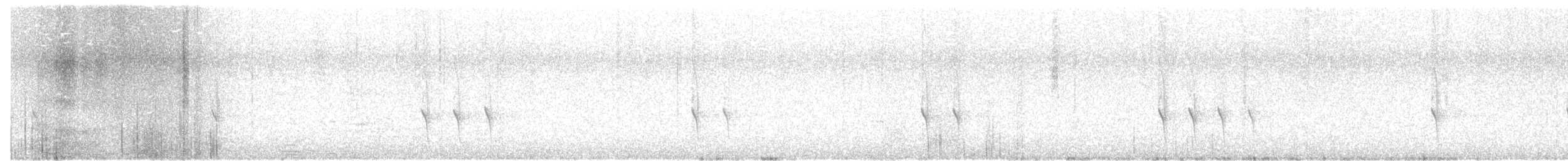 "Шишкар ялиновий (Appalachian, або тип 1)" - ML84485851