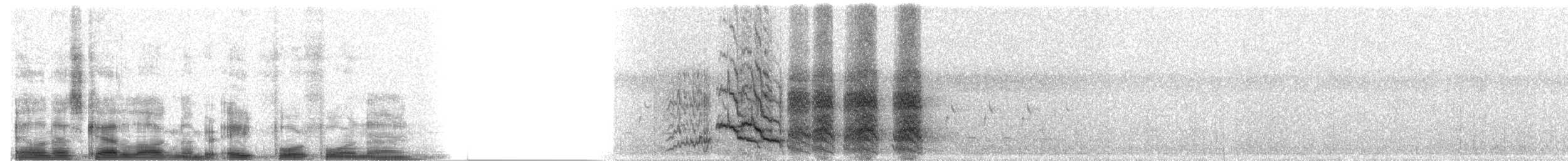 Red-crowned Amazon - ML8449