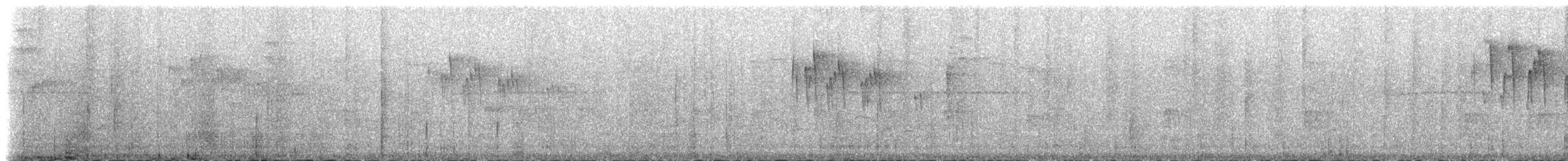 Vaux's Swift (Yucatan) - ML84493531