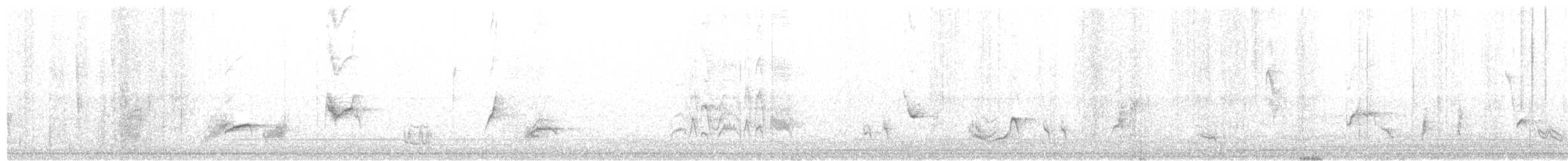 Langschnabel-Spottdrossel - ML84666751