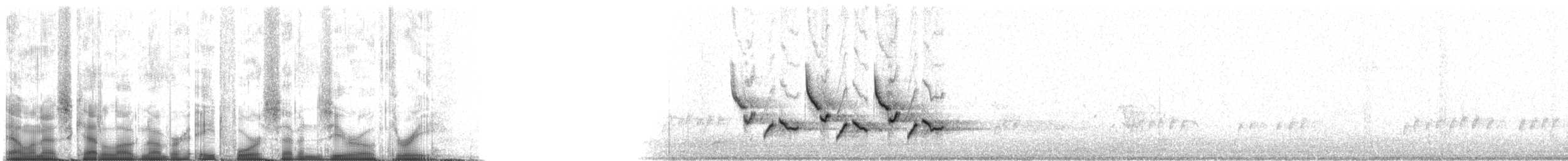 střízlík karolínský - ML84703