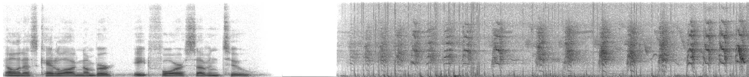 Yellow-lored Amazon - ML8472