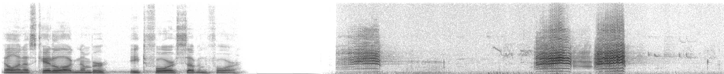 Military Macaw - ML8474