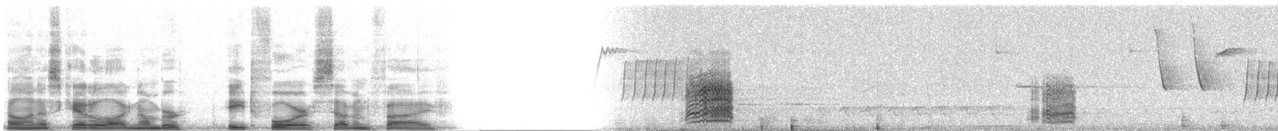 Military Macaw - ML8475