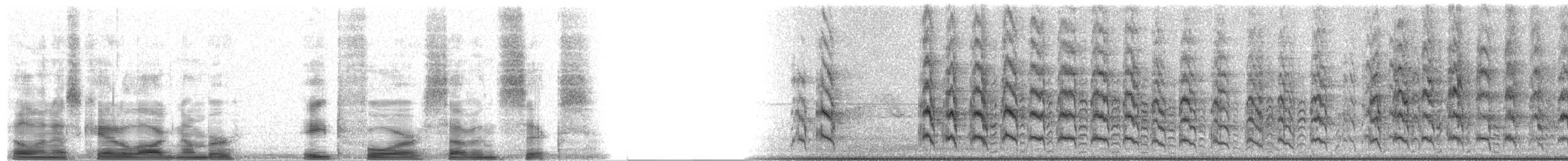 Orange-fronted Parakeet - ML8476