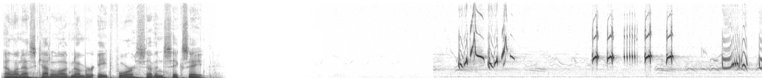 チャイロツグミモドキ - ML84768