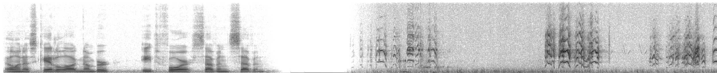 Orange-fronted Parakeet - ML8477