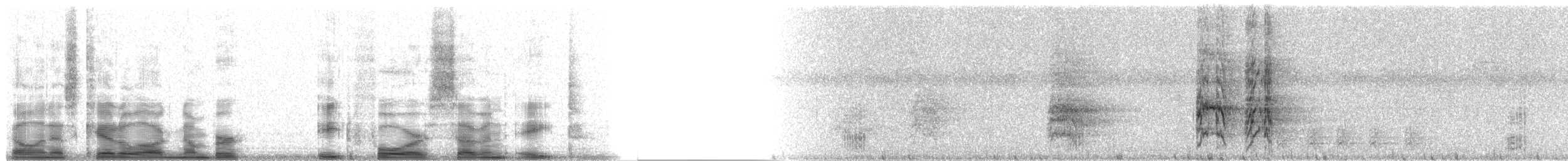 Orange-fronted Parakeet - ML8478