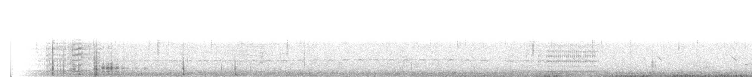 Gallinule d'Amérique (groupe galeata) - ML84791881