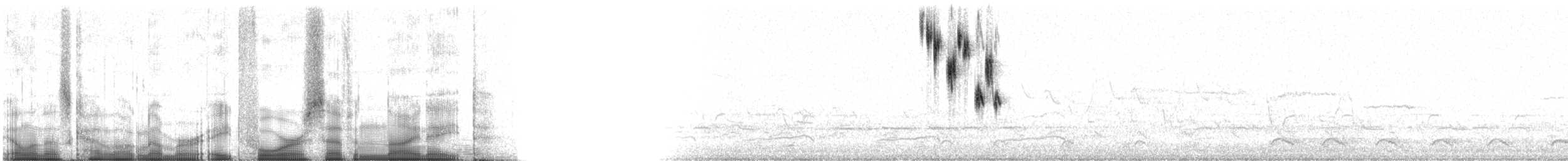 Chingolo de Henslow - ML84798
