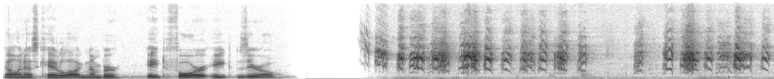 Orange-fronted Parakeet - ML8480