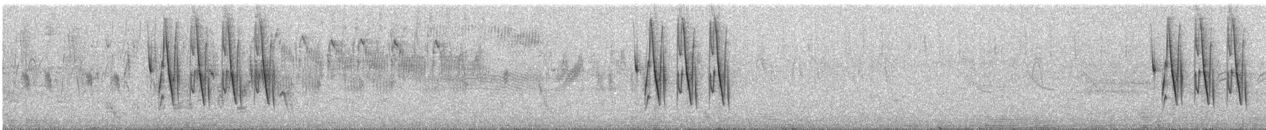 Cinnamon Warbling Finch - ML84800641